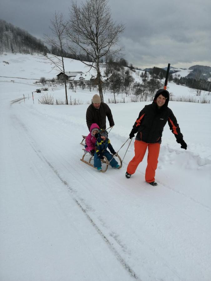 Urlaub Am Bauernhof Hoebarten Sankt Anton an der Jessnitz Exterior photo